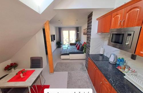 Luhacovice Apartment | Dům Tamara