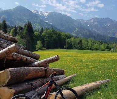 Borgo Valsugana Apartment | Da Lucia - CIPAT 022022-AT-010358