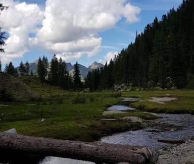 Borgo Valsugana Apartment | Da Lucia - CIPAT 022022-AT-010358