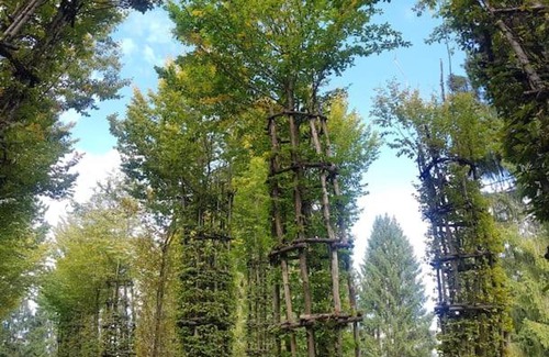 Borgo Valsugana Apartment | Da Lucia - CIPAT 022022-AT-010358