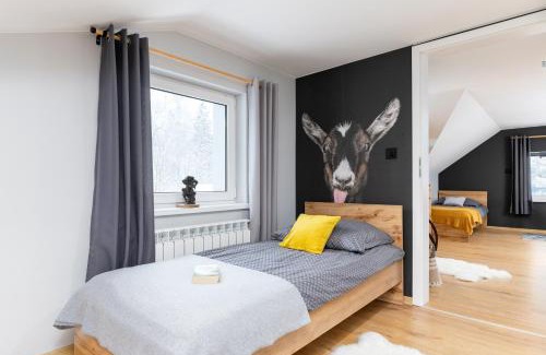Jelesnia House | Dablin 9 - Dom w górach z gorącą balią, blisko szlaków i wyciągów