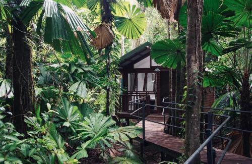 Diwan Resort | Daintree Wilderness Lodge