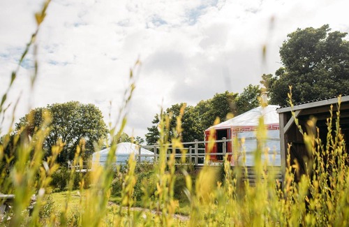 Newquay Cabin | Damaris - A spacious Mongolian-inspired Yurt in stunning eco-friendly estate near Newquay