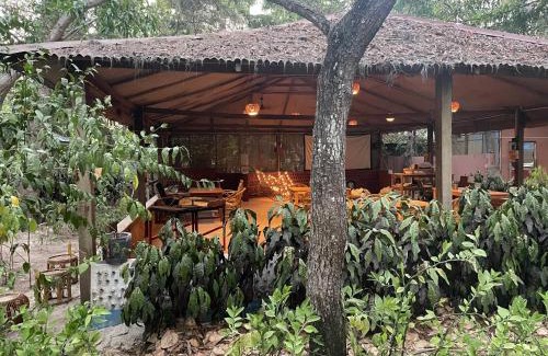 Neil Island Hotel | Dancing Dugong