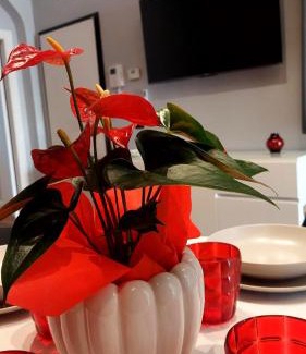 Bari City Centre Apartment | Dante 110 Suite Apartment