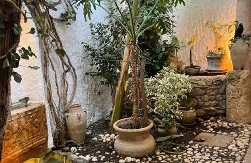 Medina House | Dar Essaroual Médina Hammamet