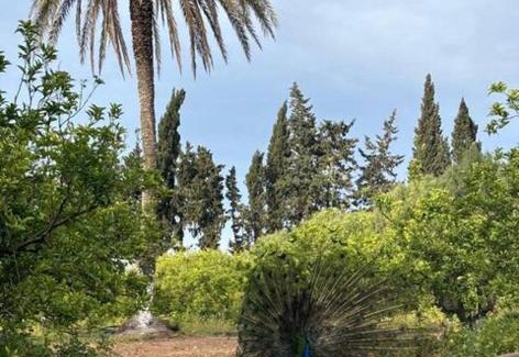 Tazerka Villa | Dar louzir à Tazarka