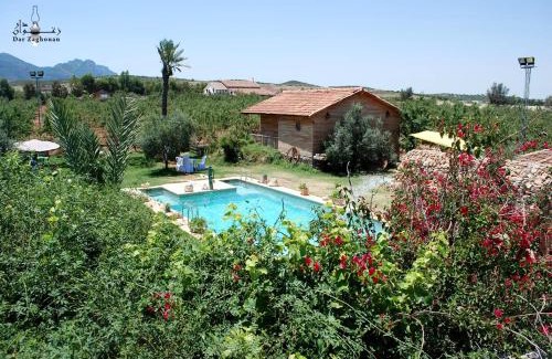 Zaghouan House | Dar Zaghouan