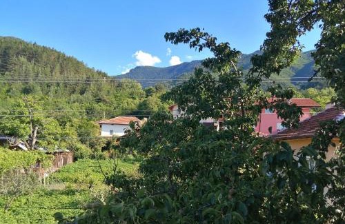 Sapareva Banya House | Dariya Guest House