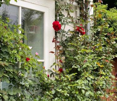 Hohensee Apartment | Das Garden House - Hohensee Erdgeschoss