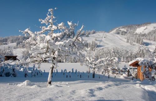 Hochfilzen House | Das Glaagut - Familie Hain