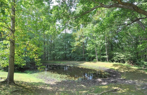 Great Cacapon House | Davis Delight - Wonderful Country Home