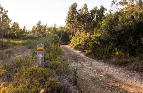 Famalicao Villa | Delightful forest windmill, 10 min away from the beach