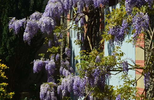 Mazamet Cottage | Delightful Gite in SW France - Private Garden, Close to Town & beautiful walks