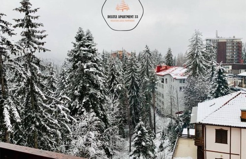 Pamporovo Apartment | Deluxe Apartment 33 Mountain Lodge Pamporovo