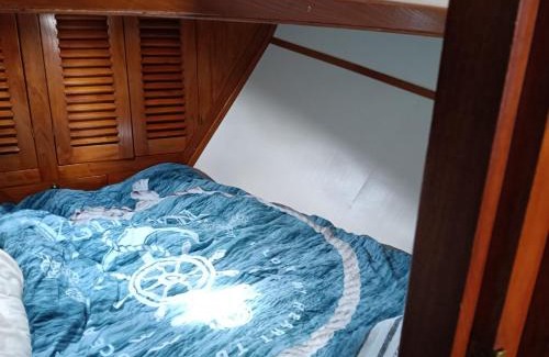 Municipality of Hoogeveen Boat Rental | Deluxe romantic boat
