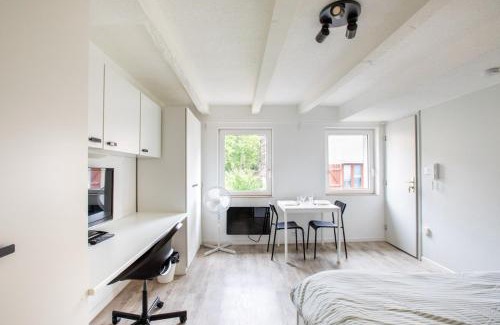 Mulhouse Apartment | DeLuxe Studio Lumineux et Rénové, Parking Gratuit, MULHOUSE CENTRE