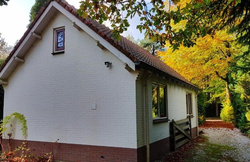 Vaassen House | Dennenhuis