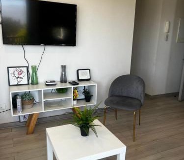 Rancagua Apartment | Dep safari , a pasos de HHRR , carretera 5 , parking, wifi , vista a la cordillera de la costa