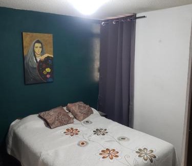 Yauhquemehcan Apartment | Departamento Jardín Magnolia