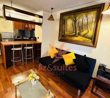 Santiago Apartment | Depto comodo en Providencia