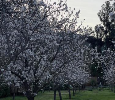 Isla de Maipo Bed & Breakfast | Descanso al Viejo Estilo