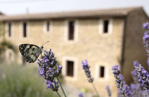 Ribouisse Cottage | Description of the gîte jasmin