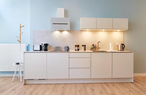 Mainz-Bingen Apartment | Design Studio I 3 Personen I Innenstadt I Küche I WIFI