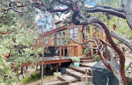 Idyllwild Cabin | Designer cabin treehouse on acre with amazing views and privacy