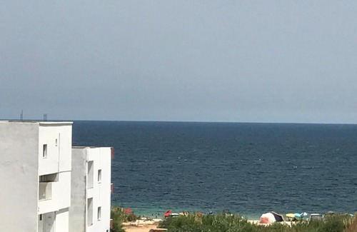 Tantana Apartment | DIAR EL FELL - Route Touristique - Chatt Meryem / Port El Kantaoui