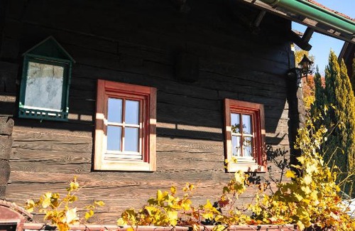 Großklein House | Die Steirakeischn