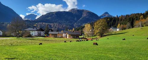 Kotschach-Mauthen House | Dijkstra`s Cottage 672