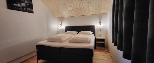 Kotschach-Mauthen House | Dijkstra`s Cottage 672
