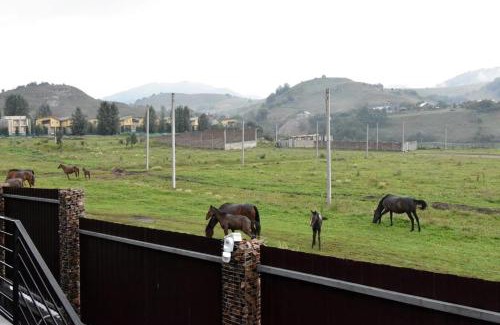 Dilijan Villa | Dilijan Bellevue