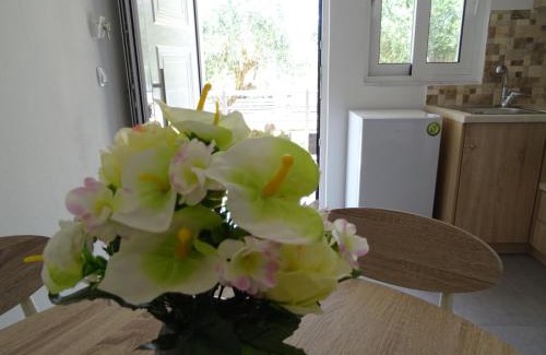 Kanali Apartment | Dimitra Apartments