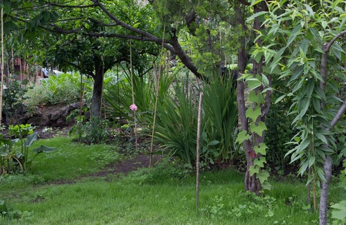 Macchia House | Discount!For July 2019. Single house with large courtyard and splendid garden