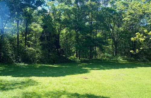 Albertville House | Discover Albertville charm, quick ride to Sand Mountain & Lake Guntersville !