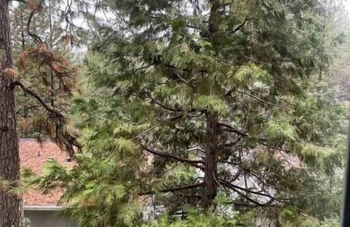 Apple Hill Condo | Discover the outdoors, 1st Apple Hill exit, Tahoe