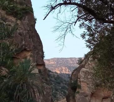 Drargua House | Diyafat adrar