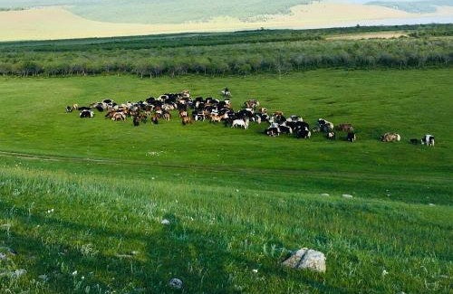 Mongolia Hotel | Doloon Uul