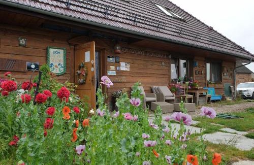 Karsibor Bed & Breakfast | DOM GOŚCINNY PTASZARNIA - NATURA-Free PARKING