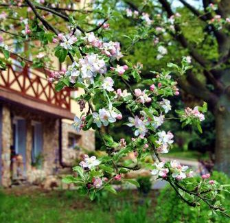 Zagorz House | Dom Lwowski