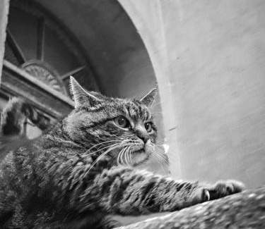 Cieplice House | Dom otwarty