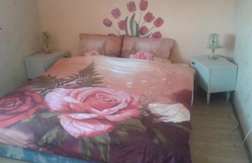 Lesna House | Dom Pod Różą