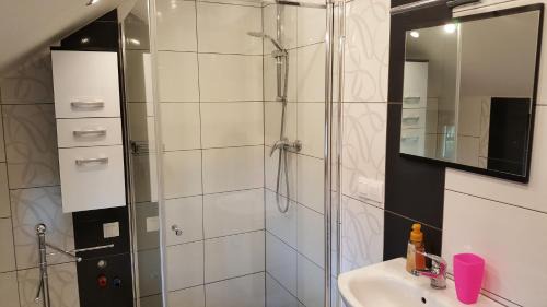 Witow Ski Chalet | Dom u Mniszakow Agroturystyka