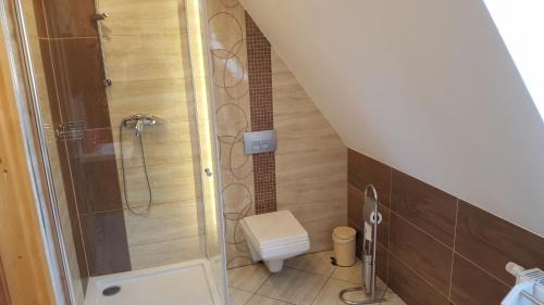 Witow Ski Chalet | Dom u Mniszakow Agroturystyka