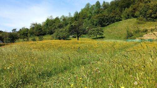 Ochotnica Dolna House | DOM ZA STUDNIĄ Góralski dom w Ochotnicy Dolnej