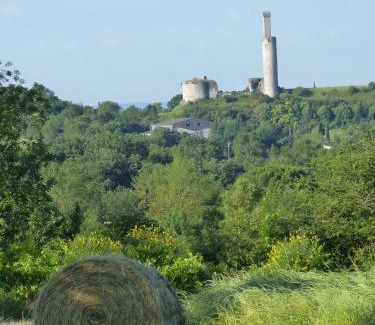 Castelnau-de-Levis Bed & Breakfast | Domaine de Bonnet