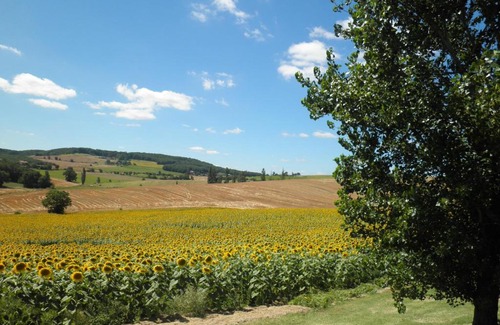 Cadalen Bed & Breakfast | Domaine de la Vigne