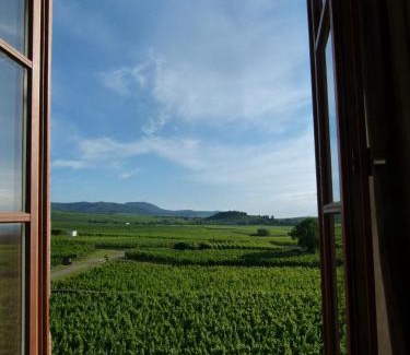 Bennwihr Apartment | Domaine du Bouxhof
